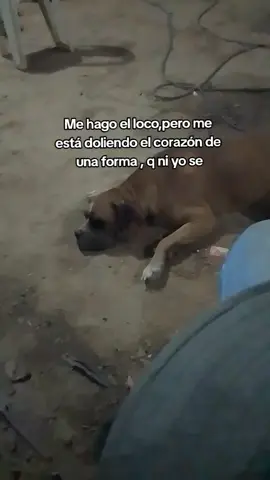 #viral #fypシ゚ 
