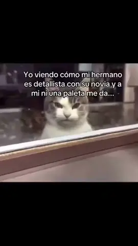 #hermanos #humor #novios 