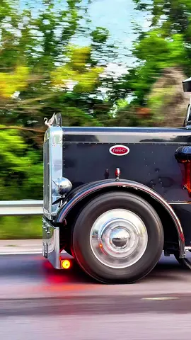 And that was all she wrote 💃 #fyp #peterbilt #359 #359peterbilt #bigrig 