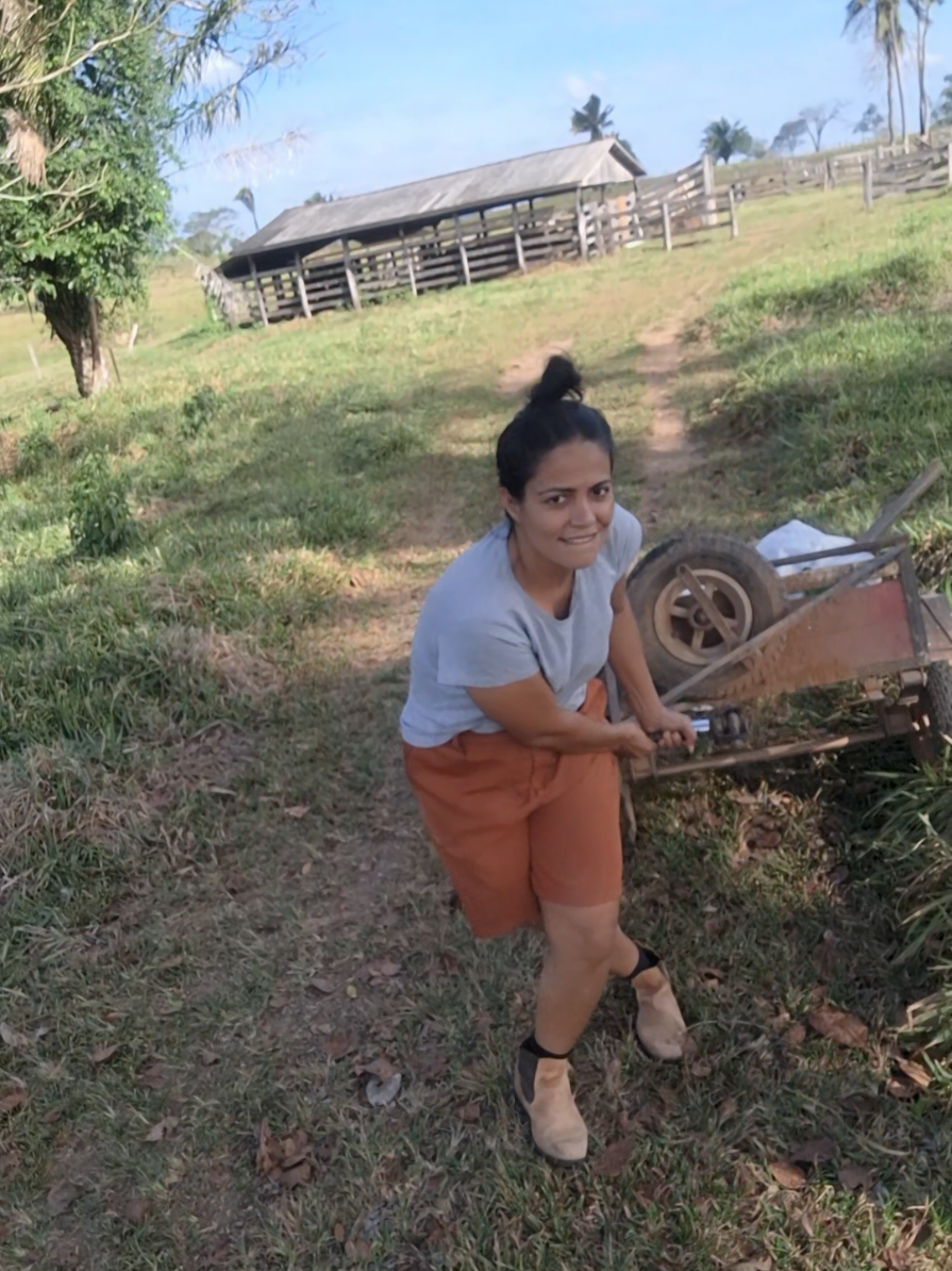 #roça #vidanaroça #campo #vidanocampo #fazenda  Ajuntando esterco de vaca!