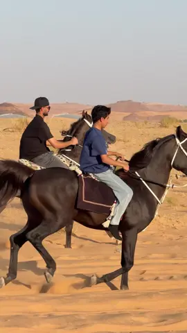 #سكاكا_الجوف❤️ #خيل_عربي_اصيل🐎🐎 #الشعب_الصيني_ماله_حل😂😂 #خيل_وخياله🐎 