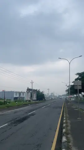 🍃
