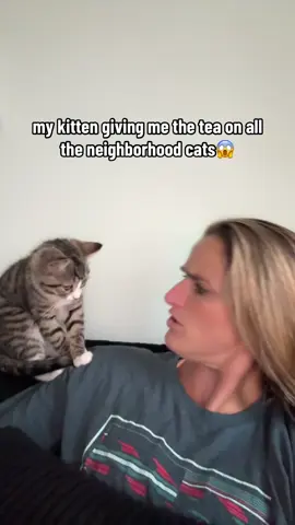 Simba really gets around…. #fyp #kittensoftiktok 