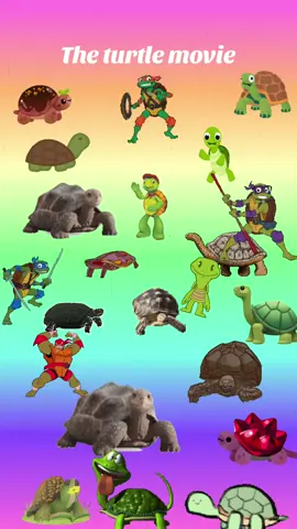 The turtle movie
