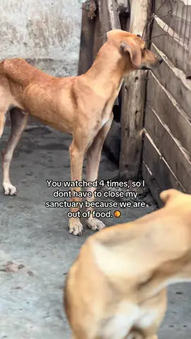 #viraltiktok 