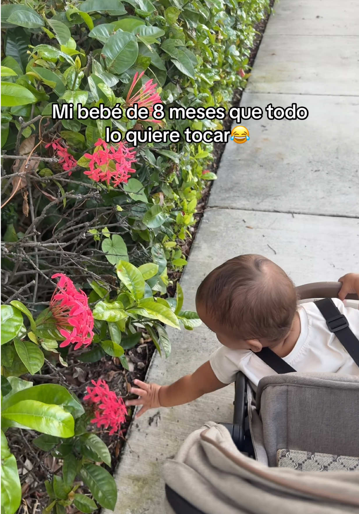 Cuantos meses tiene el tuyo?👶🏻