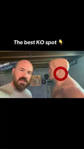 #streetfight #knockout #knockoutzone #selfdefense