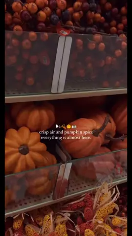 Gentle reminder for my pumpkin spice girlies. @Starbucks starts serving all fall drinks Aug 26th!!!!  #fallinspo #pumpkinspiceseason #starbucksorder #fypシ #gilmoregirls 