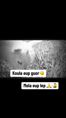 #senegalaise_tik_tok #videoviral #fypp 