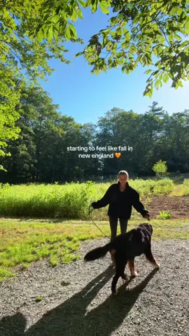 The best season ever 