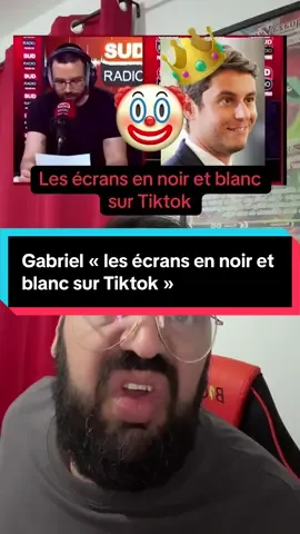 #humour Gabriel « les écrans en noir et blanc sur Tiktok » #divertissement #humournoir #societedemalade #mondedefou 
