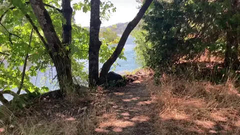 Willamette river walk for some afternoon delight. Xoxo 