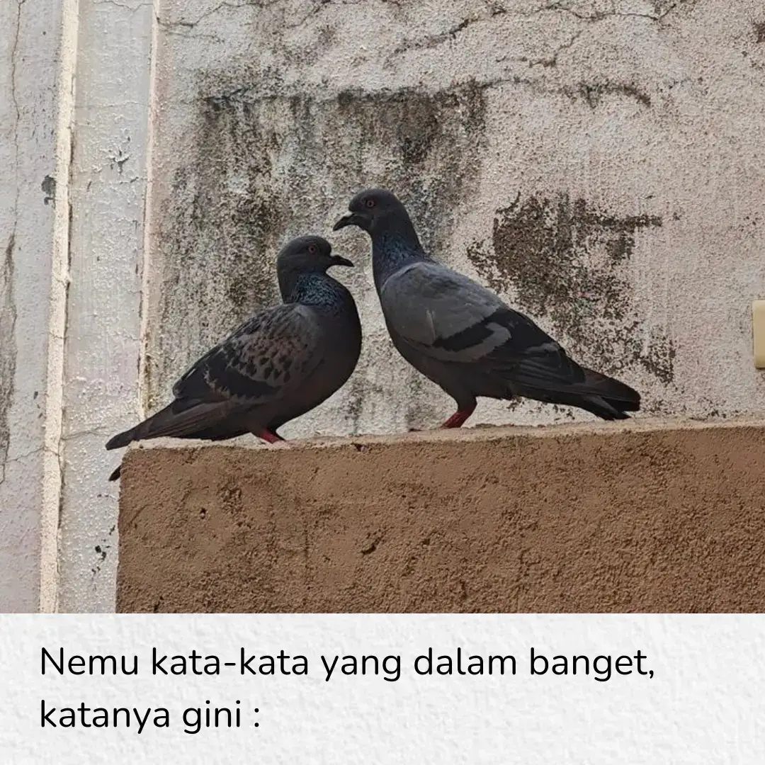 #fyp #beranda #katakata #qoutes #relationships 