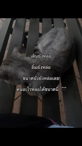 คนอะไรหล๊อหล่อ🤩#songkran2025 #fyp #fypシ゚ #ตามจีบรุ่นพี่ #tiktokฟีดดด 