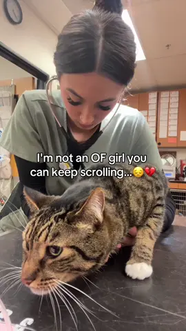 Kind comment would be greatly appreciated #cats #shelter #animal 