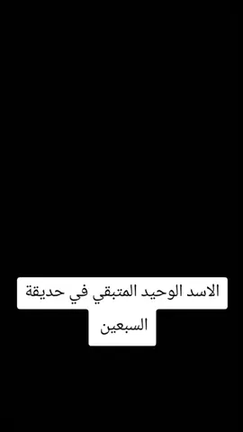 الاسد الوحيد المتبقي في حديقة السبعين بصنعاء  صنعاء اليوم  صنعاء اليمن  اليمن السعيد ذمار  عدن الغد  عدن #اليمن #صنعاء #ذمار #محافضة_صنعاء #حديقة_السبعين 