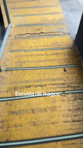 Esos Diputados con créditos VIP, ranchos en la playa, apartamentos de lujo, y terrenos desde que son Diputados. ¿Hacen magia o que? #harrypotter #puyabotones #elsalvador #corruption #true 