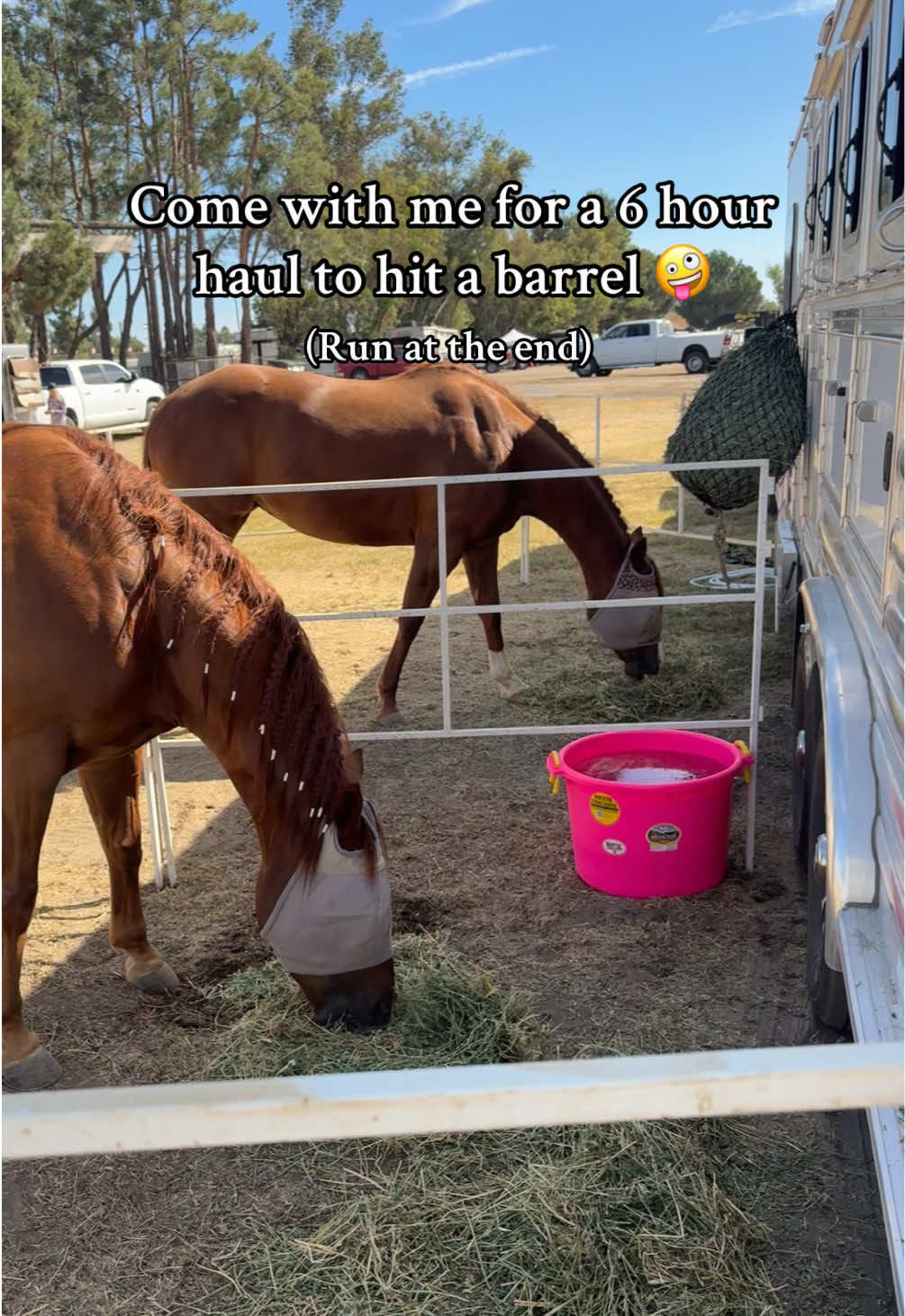 It’s okay we got two more runs for me to ride my horse correctly.. 😅🙈 #barrelhorse #barrelracing #horses #horse #rodeo