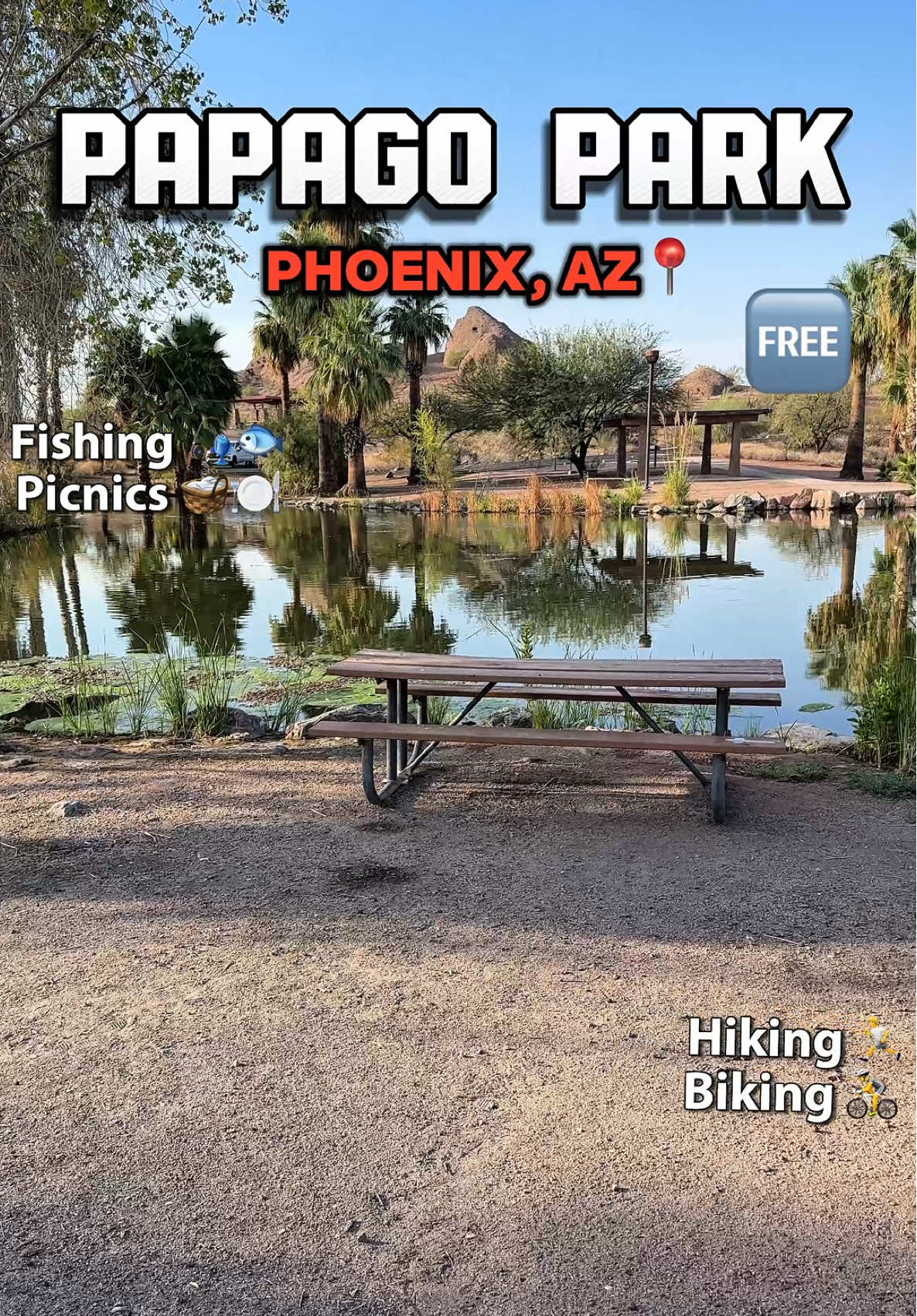 Papago Park is the perfect place to fish 🎣 have a picnic 🧺 or go on a hike 🥾  You do need an Arizona fishing license, but the lake itself is 🆓 ! You can buy a day pass online ✨ 625 N Galvin Pkwy Phoenix, AZ 85008📍  #arizona #phoenix #fishing #traveltok 