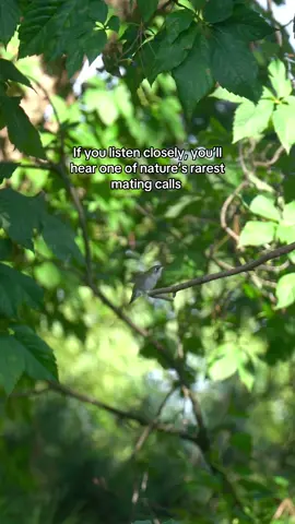 National Geographic doesn’t even have this…. 