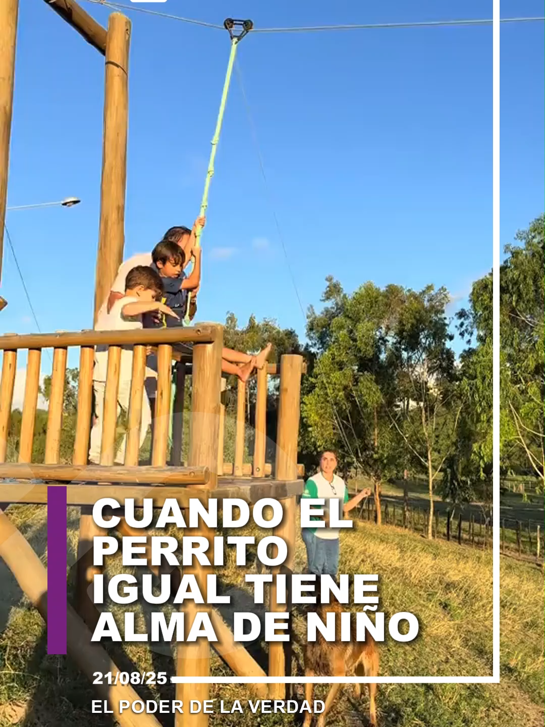 🐕👦Durante un momento de diversión, un perrito intentó imitar a su dueño y, junto al niño, se quedaron en medio del juego, provocando risas y algunos sustos. 🐶 #AlmaDeNIño #ElMejorAmigoDelHombre #Juego#Perritos #PerritosFelices #Cachorros #PerritosJuguetones #Mascotas #AmorAnimal #PerritosTiernos #CachorrosTraviesos #AmorPerruno #Perros #MascotasFelices #AmigosPeludos #PerrosJuguetones #MomentosTiernos #DiversiónCanina #PerrosFelices #CachorrosFelices #VidaDePerro #PerritosDeInstagram #MascotasJuguetonas #AmorPorLosPerros #PerritosTraviesos #PerritosDelMundo #PerrosAmigos #CachorrosTiernos #PerritosAdorables #JuegosConPerros #AmorYCompañía #PerritosEnCasa #MascotasTiernas