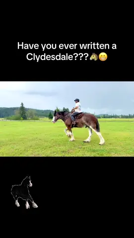 #ClydesdaleOutpost #ClydesdaleRiding #BigHorses #drafthorseriding  