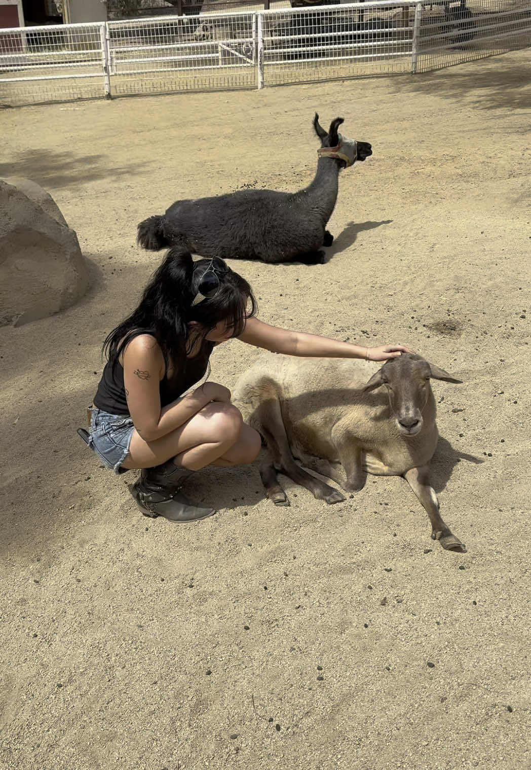 had the best time ever at @The Gentle Barn | Sanctuary 
