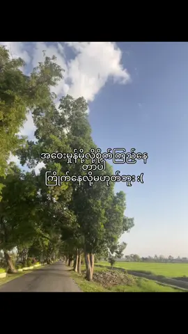 စောက်လုံးကကန်းနေတာပါဆို