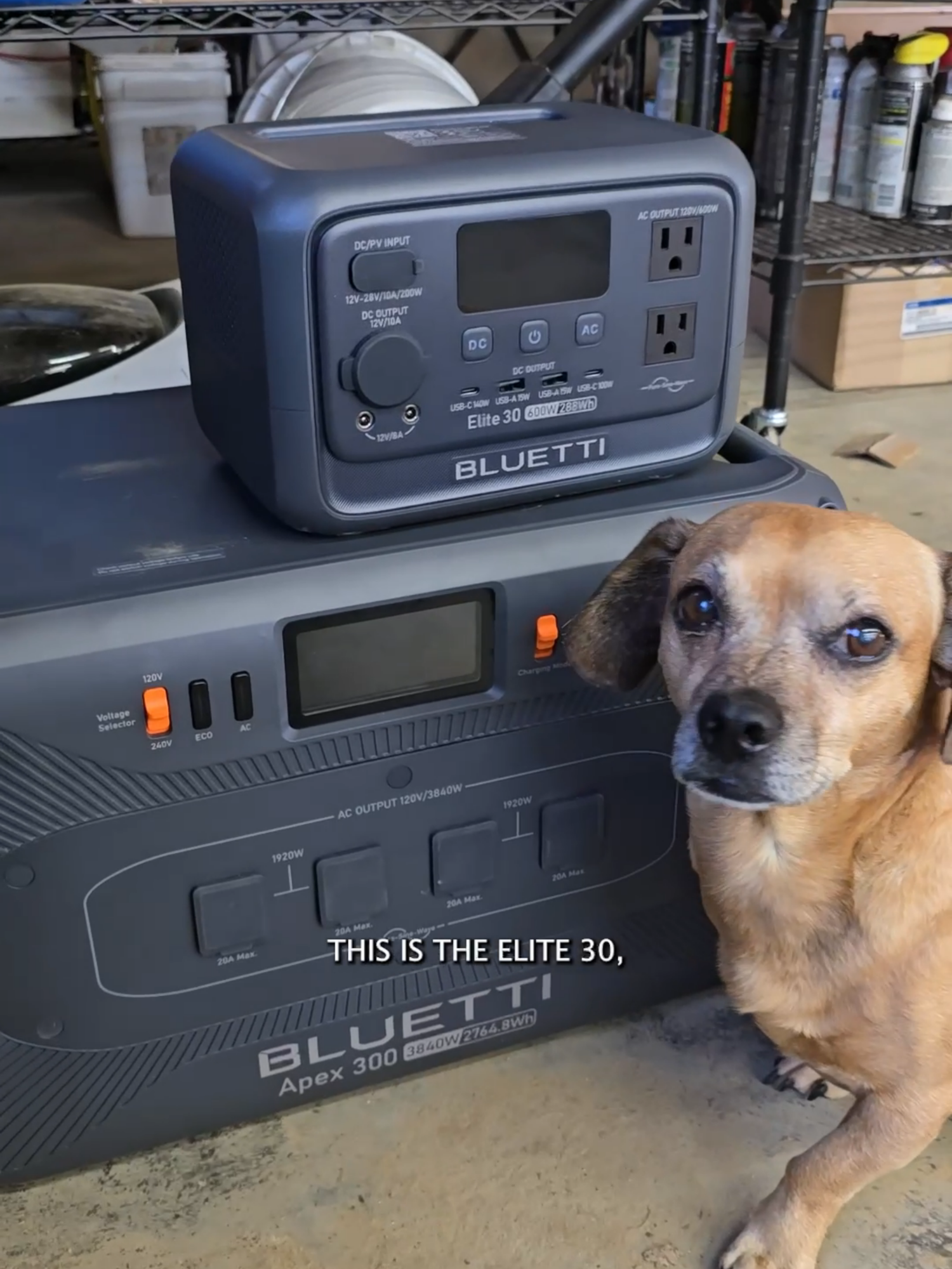 Minion's Movie night under the stars just got smarter 📷📷 With the @bluettipower Elite 30 V2, we can enjoy endless backyard movie nights with Minion 📷 no noisy generators, no worries about running out of power. Lightweight, portable, and whisper-quiet, it’s the perfect companion for picnics, outdoor adventures, or just cozy evenings with your pets. Smarter control, reliable power, and sustainable energy, wherever life takes us. 📷 Use code BLUEELITE30V for 5% off, valid until September 18th! #BLUETTI #Elite30V2 #Solargenerator #PortablePowerStation #narrowayhomestead #theoneandonlyminion #lordminion