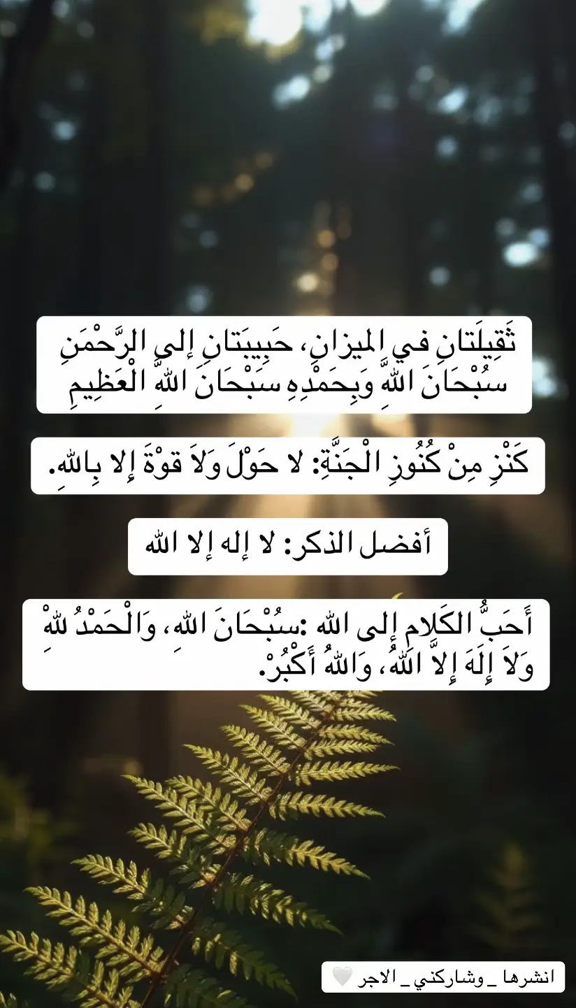 #نشر #اكسبلورر #مشاهير_تيك_توك #الشعب_الصيني_ماله_حل😂😂 #اكسبلورexplore 