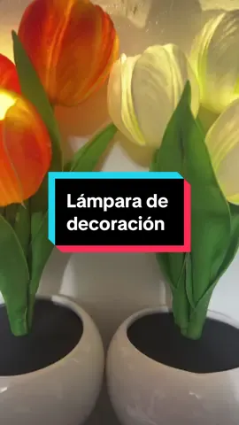 #lamps #homelighting #roomdecoration #lightingdecor #lightbulbs