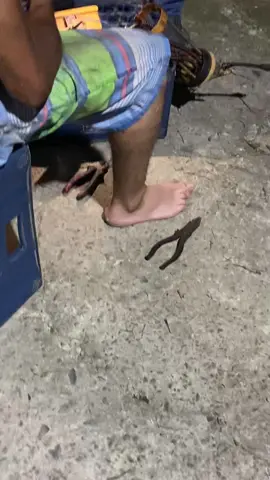 😂#paratiiiiiiiiiiiiiiiiiiiiiiiiiiiiiii #viral #likeycomparte #drilococo🐊🤣 #humor 