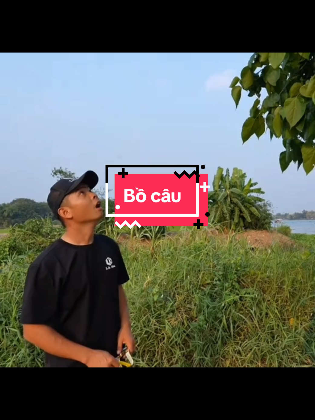 Bồ câu là biểu tượng cho gì #lkhoa #dcgr #lkhoa 