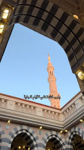 يارب انك تخلي الايام الجاية تحمل لنا فرح ماعمرنا تخيلناه #المدينه_المنوره #الحرم #دعاء #اجر_لي_ولك #مالي_خلق_احط_هاشتاقات 