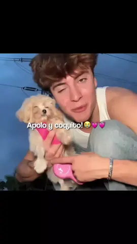 LOS AMO 🥹💓 @𝖆𝖕𝖔𝖑𝖔 || Saquenme del flopppp 😭 #zxybca #viralllllll #tiktokoonmeenparati #zxybca #viralllllll 