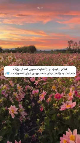 🥹♥️ #الهم_صلي_على_محمد_وأل_محمد #الحمدالله_علی_کل_حال❤ #ربنا_اتنا_في_الدنيا_حسنه_وفي_الأخرة #لاحول_ولا_قوة_الا_بالله_العلي_العظيم #h4zh1in 