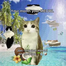 your month your meowl 🐈🐈 make your own meowls sing with talkingpets.ai in App Store 🎶 🐱 #sillycat #viralcat #catlover #meowl #catsoftiktok 