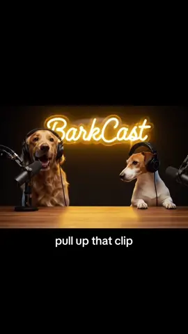 #dog #podcast #funnypets #funnyvideos 