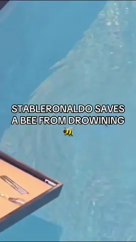 Life saviour 🔥 #fyp #you #marlon #mood #ronaldo #fall #twitch #stableronaldo #bee #tik_tok 