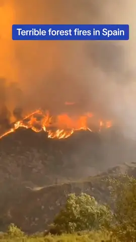Terrible forest fires in Spain #spain #forest  #fire  #fpy #trend 