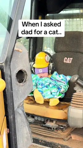 Dad delivered 🐱 @RollinGnome 