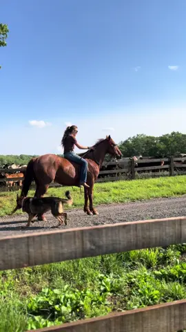 Horse power! #redroan #horserunningfullspeed #horse #horsegirl #fyp #trending #horserunningtrend 