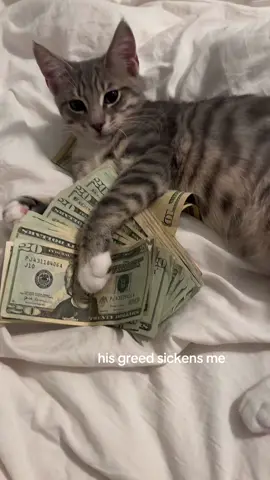 Just lemme borrow 20 twin #motionkitty 