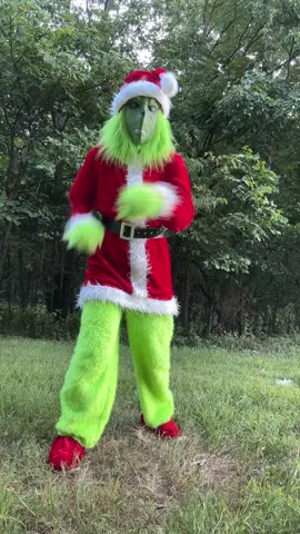 Hi 🎄 #grinch #christmas #fyp #viral #trend 