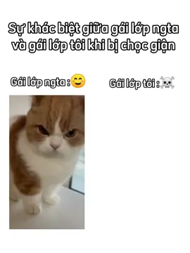 #xhhhhhhhhhhhhhhhhhhhhhhh #xuhuongtiktok #hàitiktok #foryou #fypシ゚ 