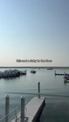amirighhhhttttttttt ☀️😩🍃 #Summer #garden #boat #philly #shore