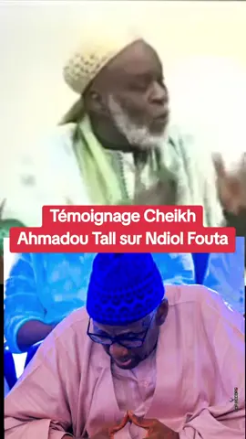 #tidiane islam #gamou #mouride #ndiolfouta 