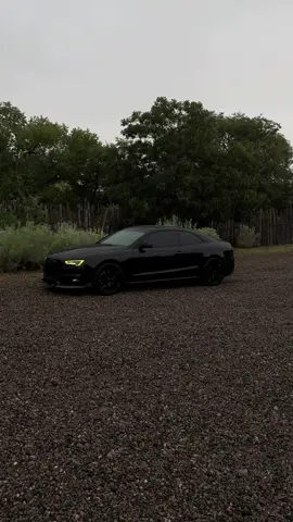 Spoiler fell off #s5 #audi #fyp 