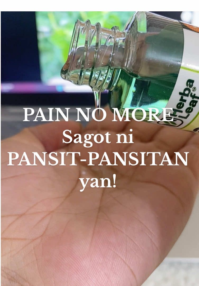 Pansit-Pansitan Oil remedy para sa mga may gout,arthritis,sakit sa mga kasi-kasi an at iba pa😍🌿🪴 #pansitpansitan #pansitpansitanherbaloil #oilremedy #fyp 