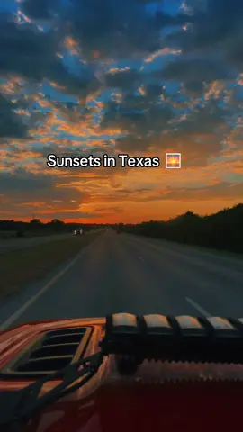Love them 🌅💕#texas #dallas 